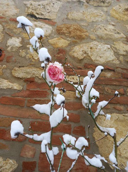 Agriturismo Ardene Villa Montepulciano Stazione Buitenkant foto